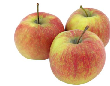 Apfel Jonagold Bio regional bioland