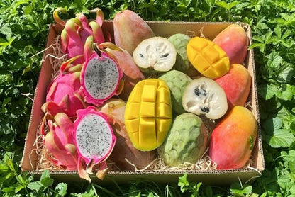 Obstbox "Andalusischer Sommertraum" von Julian