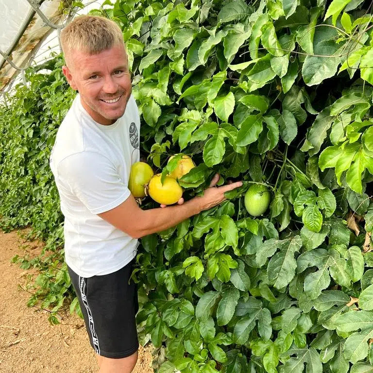 Mango & Passiflora Duo Box