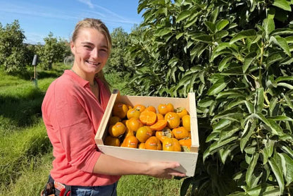 Kaki "Hana Fuyu" Bio & Demeter von Julia