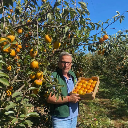 Kaki "Rojo Brillante" Bio von Bernardo Sparpreis-Box %