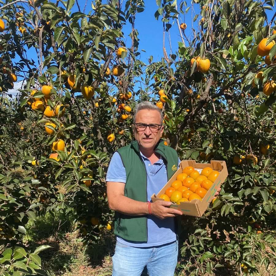 Obstbox "Kaki & Granatapfel" Sparpreis Bio