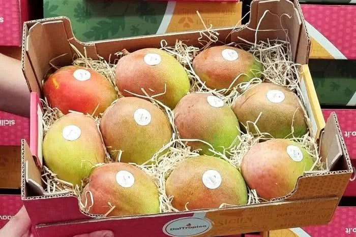 Ätna Vulkan Mangos Kensington Pride Bio Sizilien