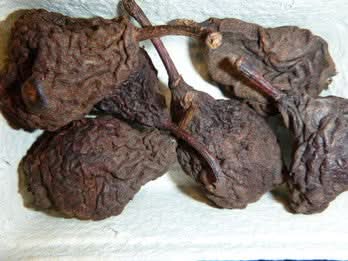 Kletzen-Dörrbirnen Bio aus Österreich