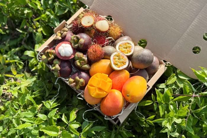 Früchtebox "Colombia Mágica"