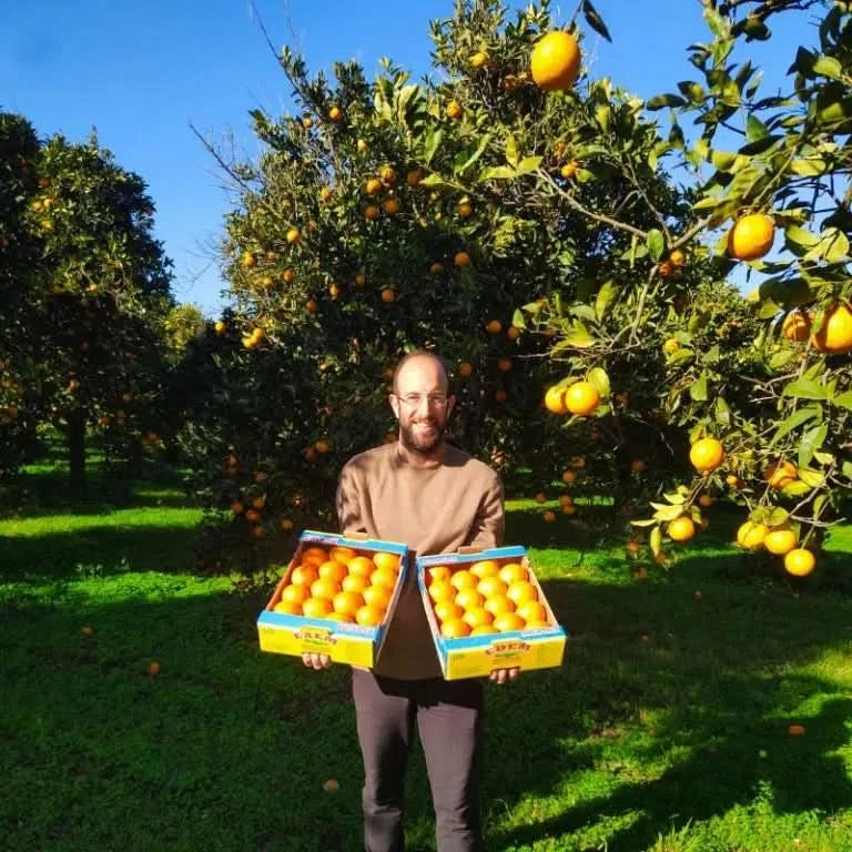 Bio Orangen „Merlin“ von Apostolis Kreta