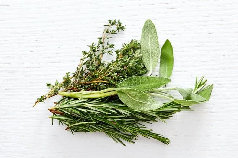 Kräutermix Bund Mediterran Bio