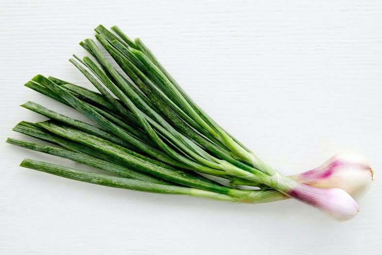 Frühlingszwiebeln rot Bio regional 1 Bund