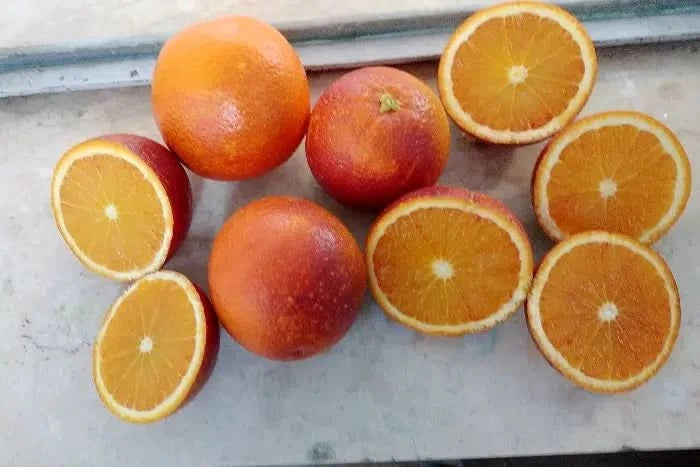 Bio Blutorangen Lempso Sizilien