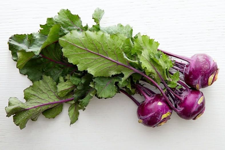 Kohlrabi lila Bio von Cosmo Bio