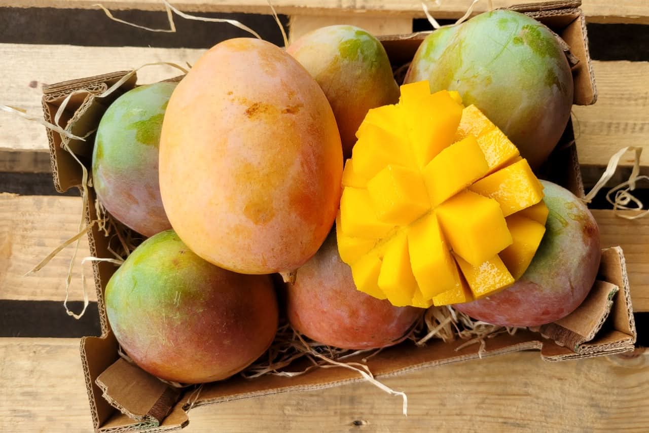 Mango Keitt Bio von Julian Aktionspreis