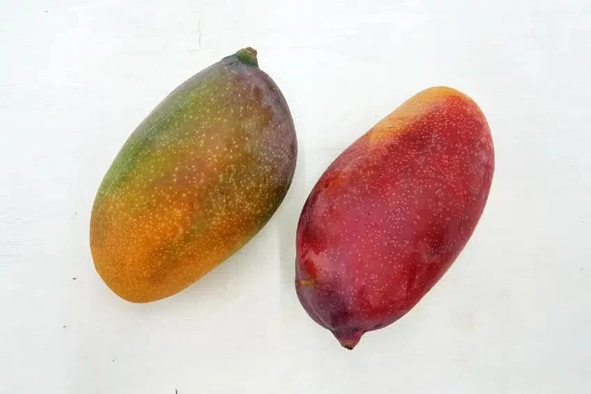 Mango Pico de Loro (Papageienschnabel) Bio von Julian