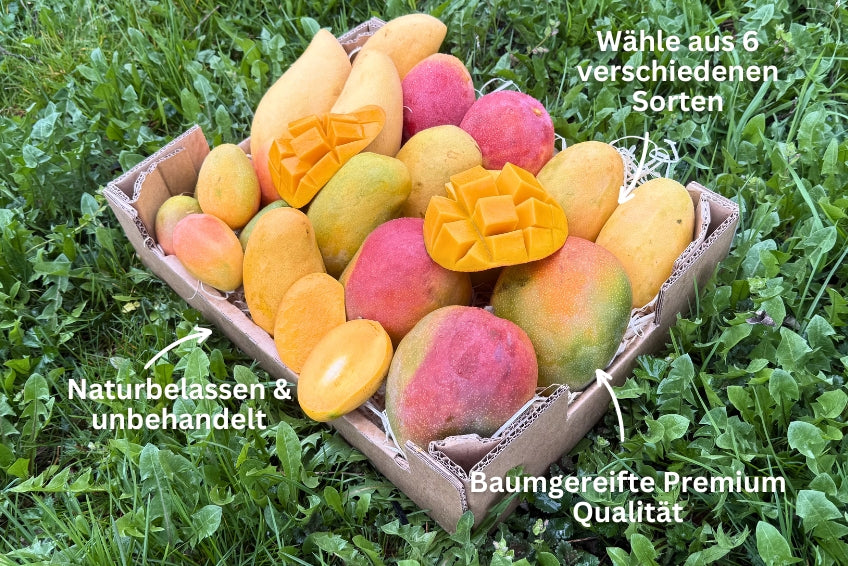 Baue deine eigene Mango-Box