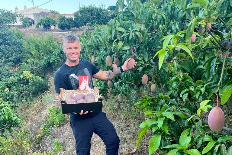 Mangorarität Zill wild von Julian (Flash-Aktion) Box