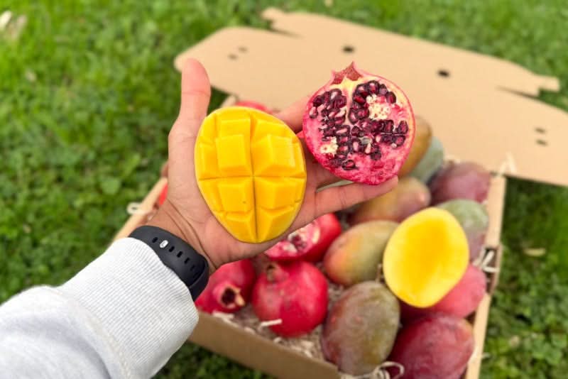 Mango & Granatapfel Retterbox