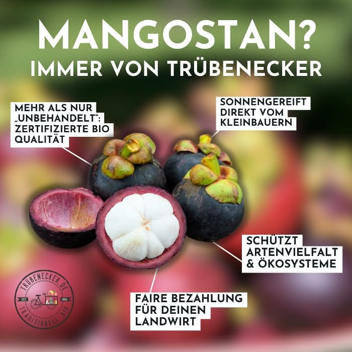 Mangostan 1 Stk