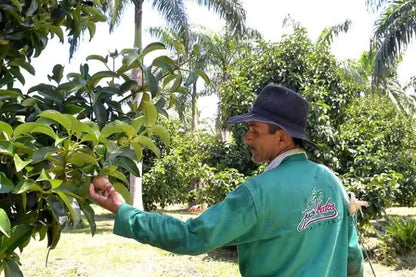 Granadilla & Mangostan Deluxebox