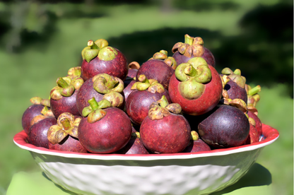 Mangostan naturbelassen