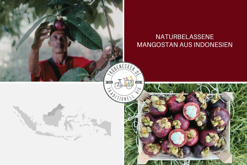 Mangostan naturbelassen