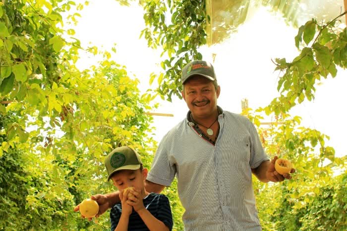 Maracuja gelb von Familie Ramon