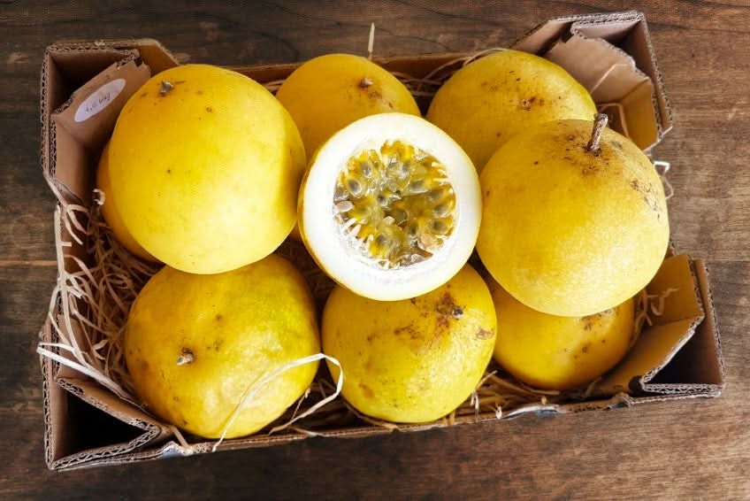 Frisch verpackte gelbe Maracujas in einem Karton – ideal für alle, die Maracuja gelb kaufen möchten