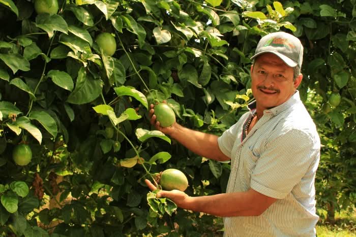 Maracuja gelb von Familie Ramon