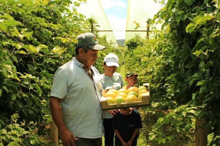 Maracuja gelb von Familie Ramon