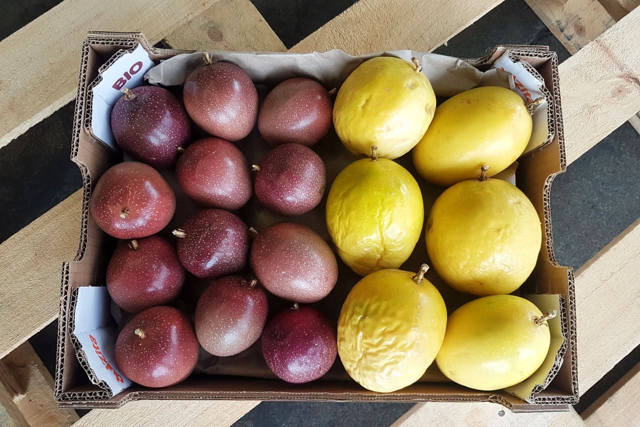 Maracuja gelb & rot Mix Bio