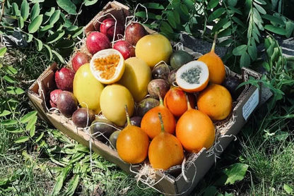 "Passiflora Lovers" Maracuja-Mix Flash-Aktion