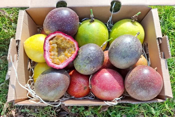 Passionsfrüchte & Maracuja Mix