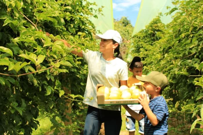 Maracuja gelb von Familie Ramon