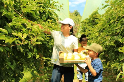 Maracuja gelb von Familie Ramon
