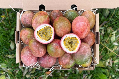 Passionsfrüchte Purple Thailand naturbelassen