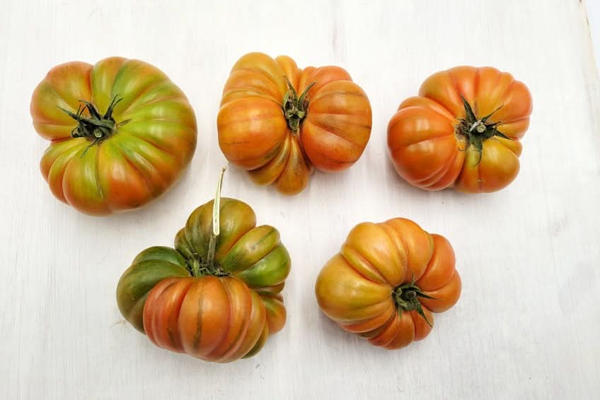Bio Delikatess-Tomaten "Marmande" (alte Sorte) 1kg
