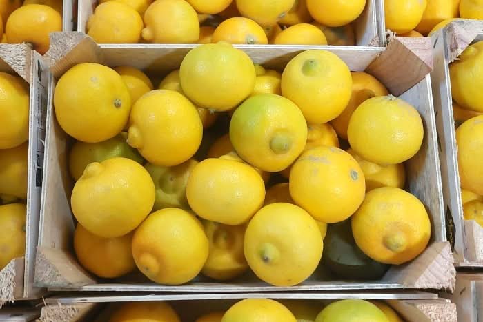 Marokkanische Limonetten Bio