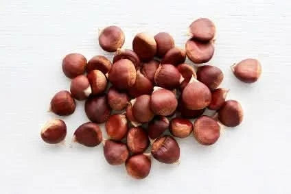 Bio Maronen Frankreich "Bouche de Betizac" Premium