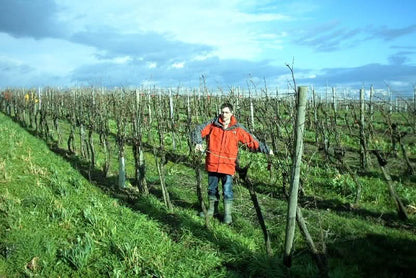 Trauben blaue Muscat d´Hambourg Bio Demeter