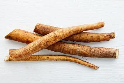 Meerrettich frisch Bio