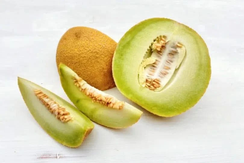 Honigmelone Bio Galia groß