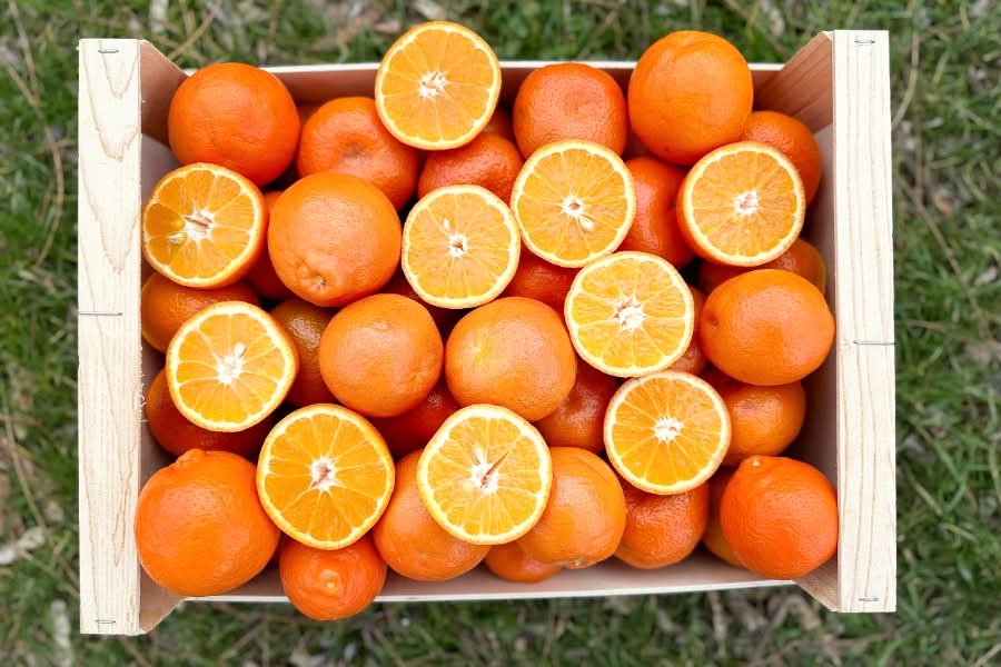 Bio Mandarinen Mineola 1kg