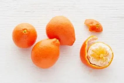 Mandarinen Mineola Bio