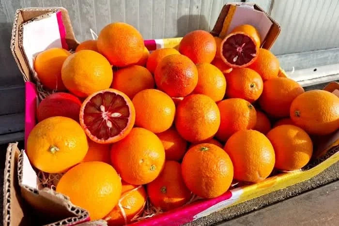 Bio Saft-Orangen Moro