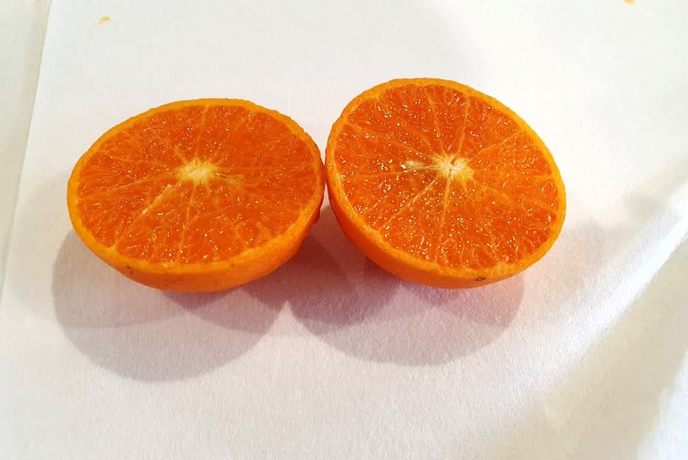 Bio Edel Clementinen „Murcott“