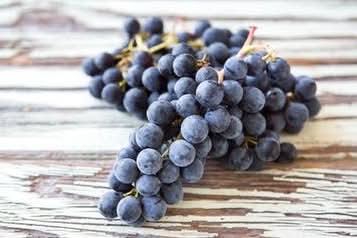 Trauben blaue Muscat d´Hambourg Bio Demeter