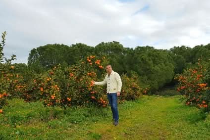 Saft-Box Weihnachts-Special Bio