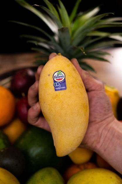 Mango "Nam Dok Mai" baumgereift