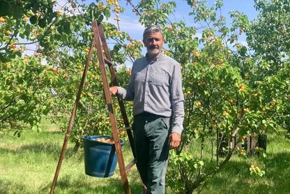 Nektarinen weiss Bio von Nicolas