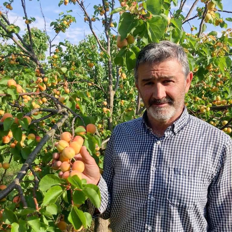 Spanische Sommernachts Box