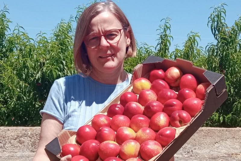 Steinobst-Mix Bio "Sonnenküsse" Box