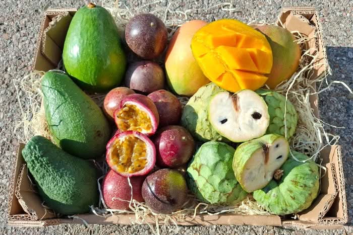 Bio Obstbox „Tropical Weekend“